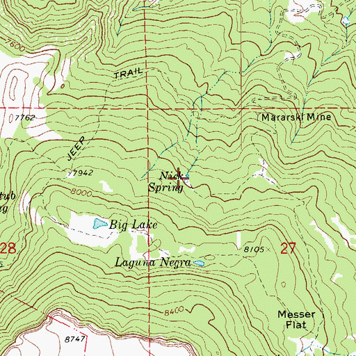 Topographic Map of Nick Spring, CO