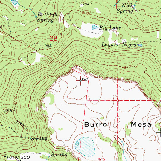 Topographic Map of Burro Mesa, CO