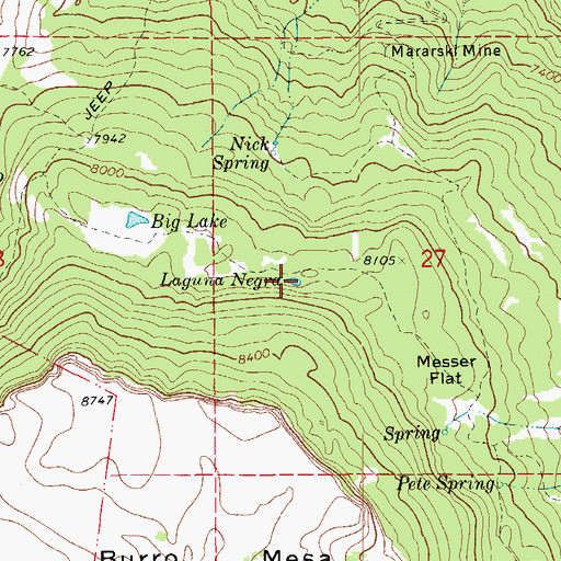 Topographic Map of Laguna Negra, CO