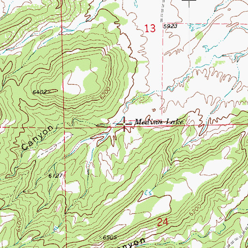 Topographic Map of Medina Lake, CO