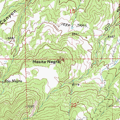 Topographic Map of Mesita Negra, CO