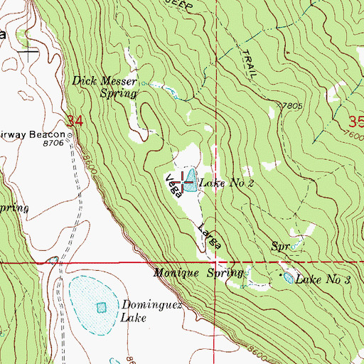 Topographic Map of Vega Larga, CO
