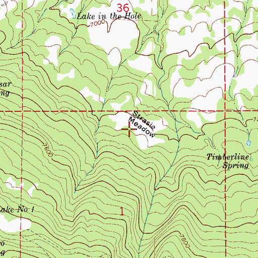 Topographic Map of Strasia Meadow, CO
