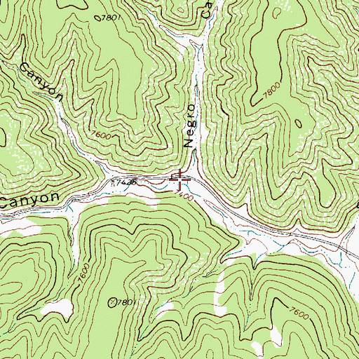 Topographic Map of Negro Canyon, NM