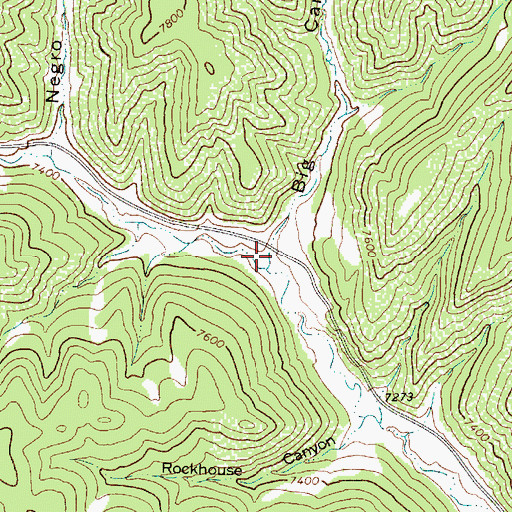 Topographic Map of Big Canyon, NM
