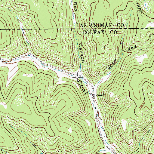 Topographic Map of Rex Canyon, NM