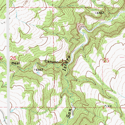 Topographic Map of Bear Canyon, NM