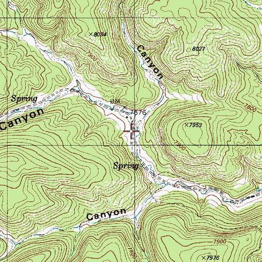 Topographic Map of Williams Canyon, NM