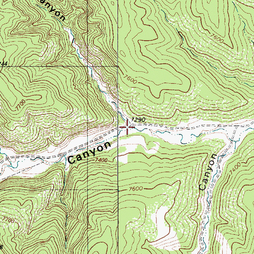 Topographic Map of Fence Canyon, NM