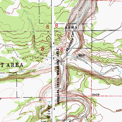 Topographic Map of West Cross Canyon, CO
