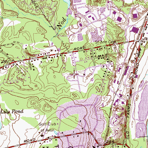 Topographic Map of Beth El Temple Cemetery, CT