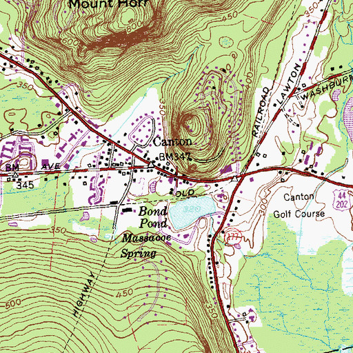 Topographic Map of Canton Green Shopping Center, CT