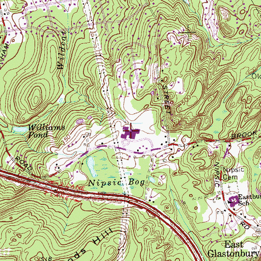 Topographic Map of Gideon Welles School, CT