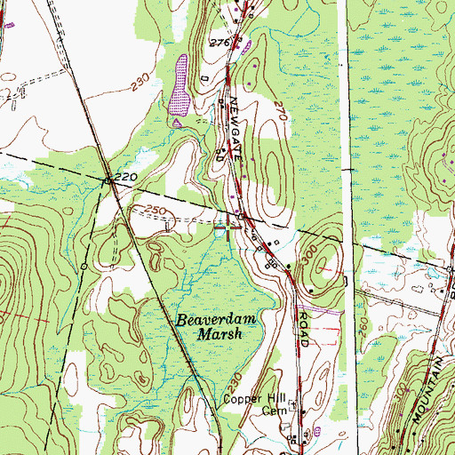 Topographic Map of Griffin Pond, CT