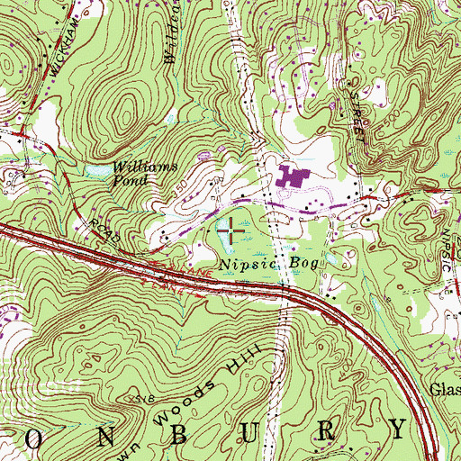 Topographic Map of Nipsic Pond, CT