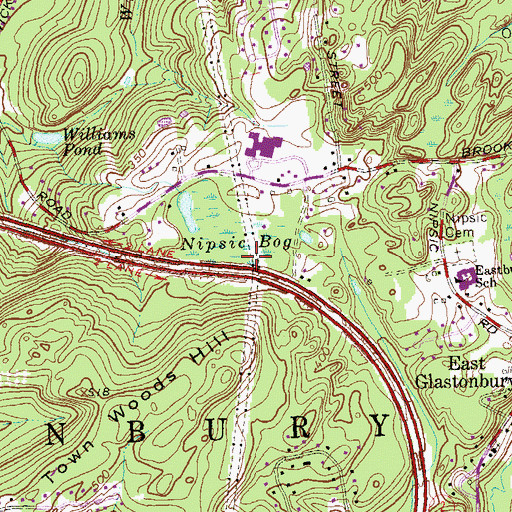 Topographic Map of Red Spring, CT