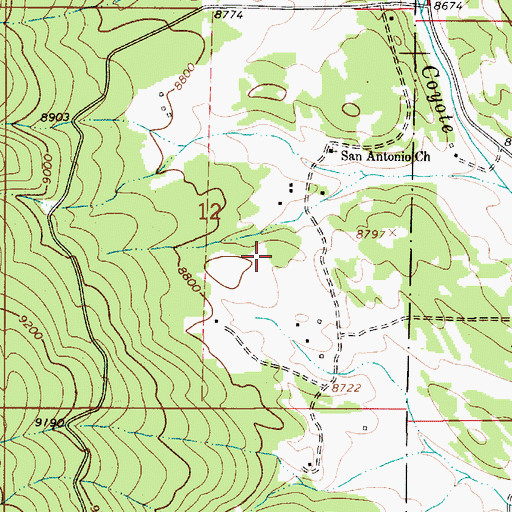 Topographic Map of Black Lake Cemetery, NM