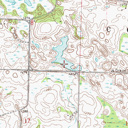 Topographic Map of Dia Linn Lake, MN
