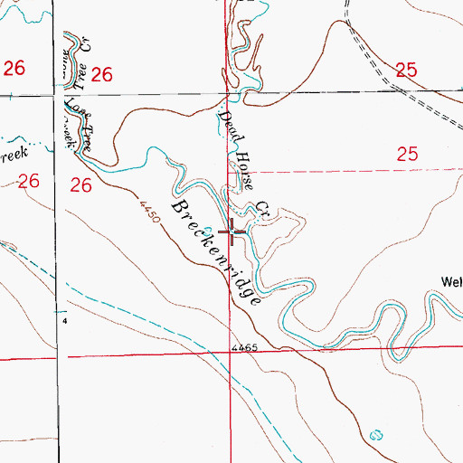 Topographic Map of Dead Horse Creek, CO