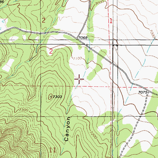 Topographic Map of Sawmill Canyon, NM