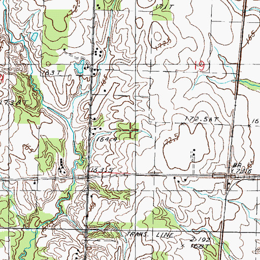 Topographic Map of Negro Cemetery, IL