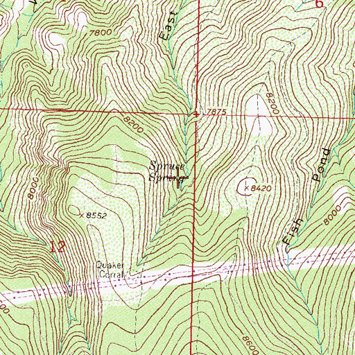 Topographic Map of Spruce Spring, CO