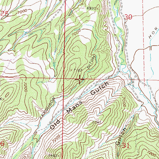 Topographic Map of Ferguson Ditch, CO