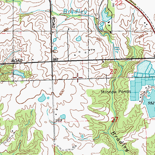 Topographic Map of Precinct 29 Election Precinct, IL