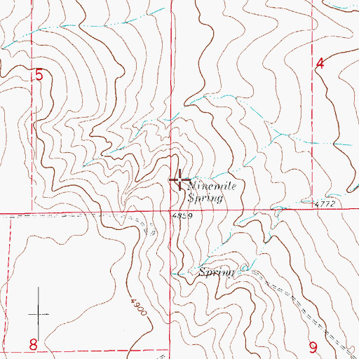 Topographic Map of Ninemile Spring, CO