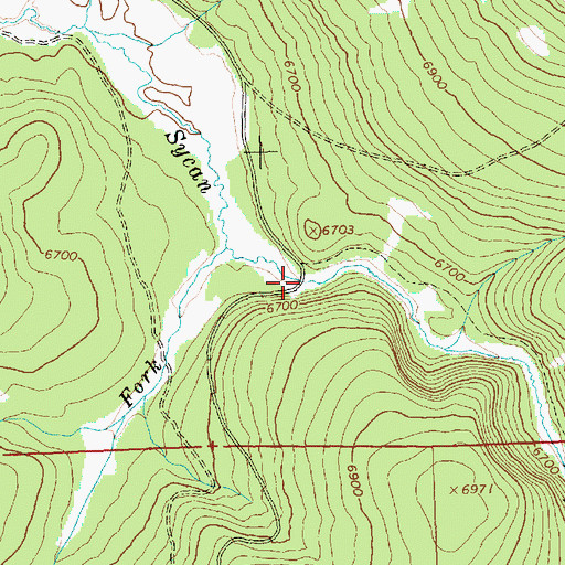 Topographic Map of Hanan/Coffeepot Spring Recreation Site, OR