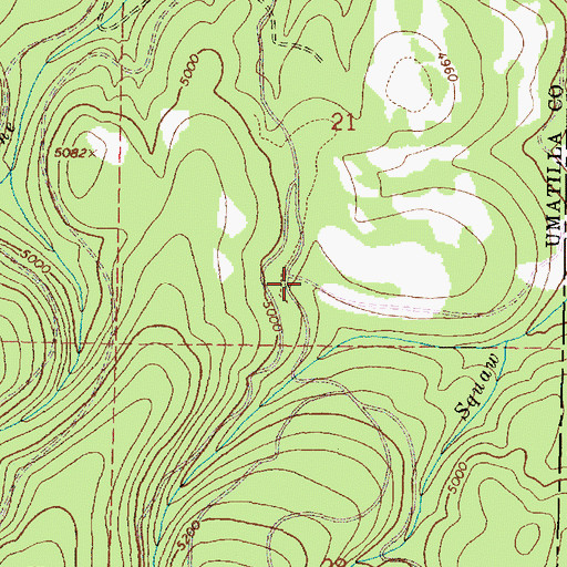 Topographic Map of Umapine Recreation Site, OR