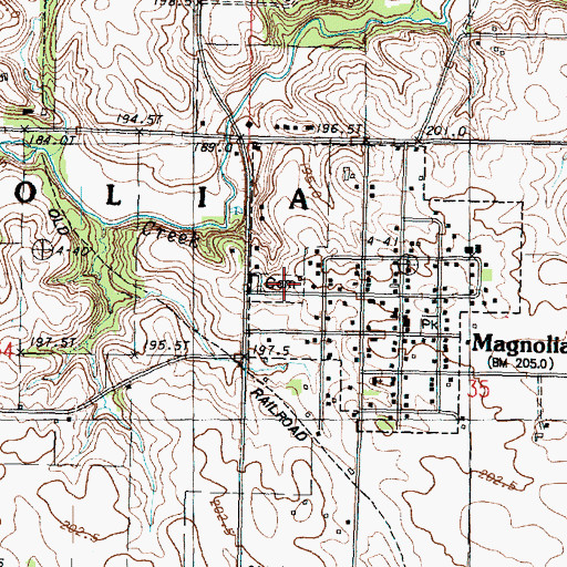 Topographic Map of Magnolia Cemetery, IL