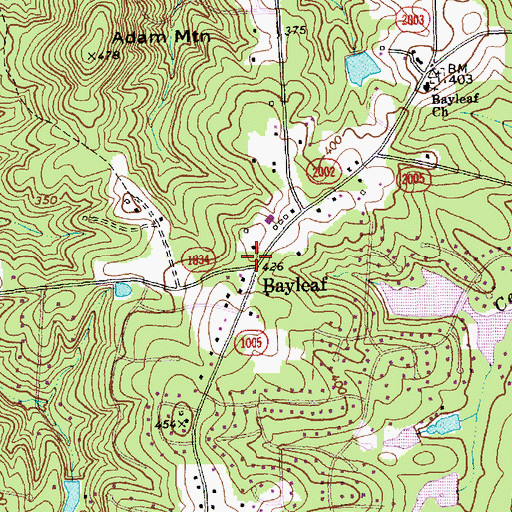 Topographic Map of Bay Leaf School (historical), NC