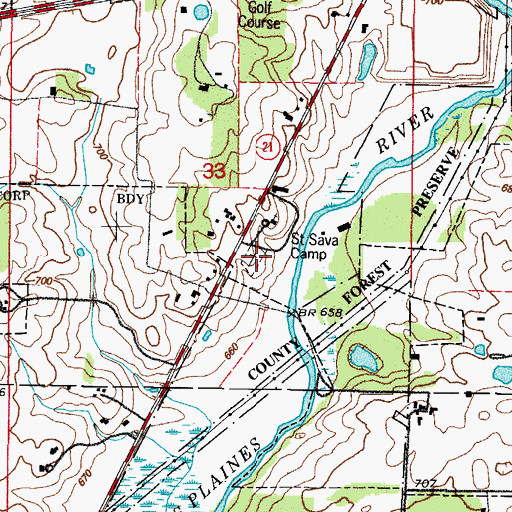 Topographic Map of Saint Sava Monastery Cemetery, IL