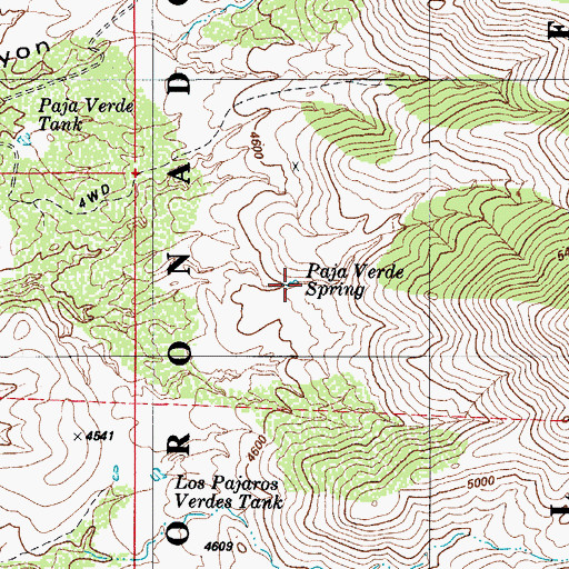 Topographic Map of Paja Verde Spring, AZ