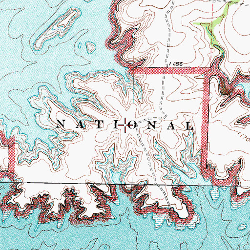 Topographic Map of Long Point, TX