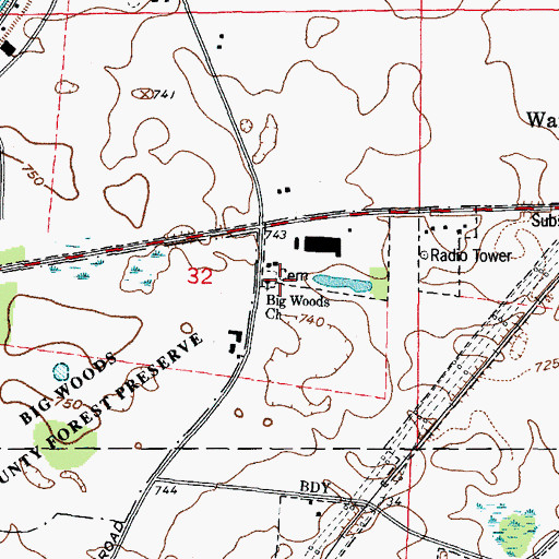 Topographic Map of Big Woods Cemetery, IL