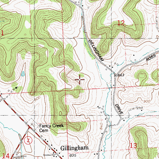 Topographic Map of Gillingham Homestead, WI