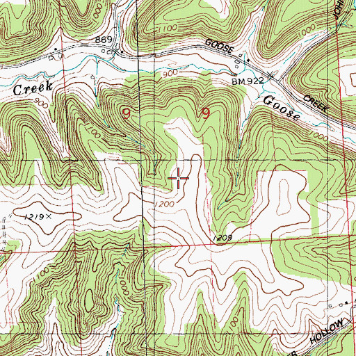 Topographic Map of Pleasant Farm, WI