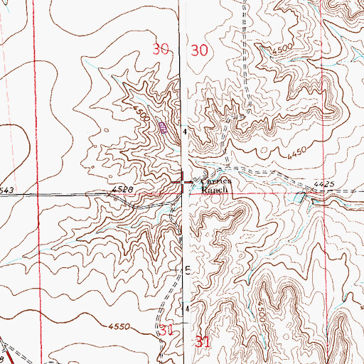 Topographic Map of Carrica Ranch, CO