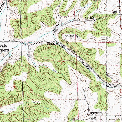 Topographic Map of Idlewild Farm, WI