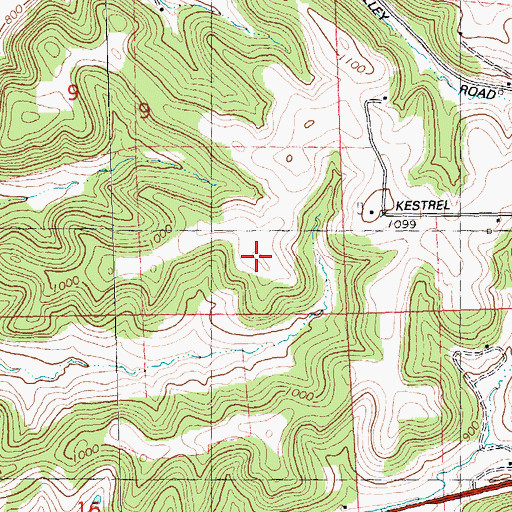 Topographic Map of Tappes Homestead, WI