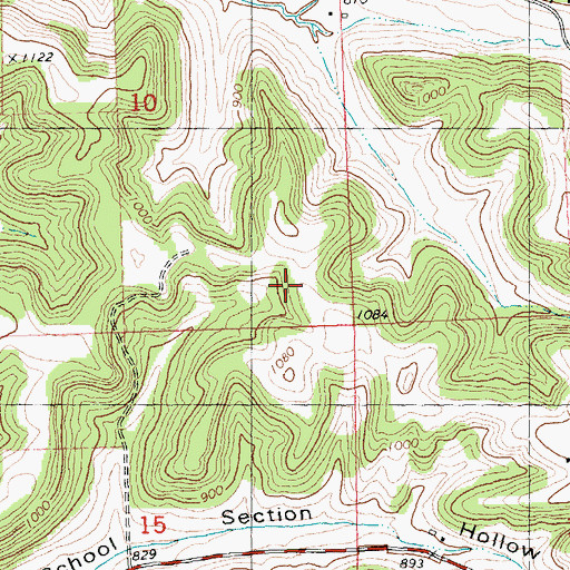 Topographic Map of Louis's Fruit Farm, WI
