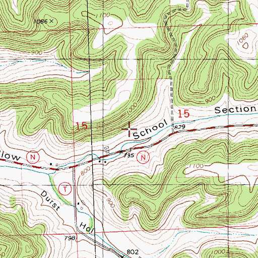 Topographic Map of Trout Brook Farm, WI
