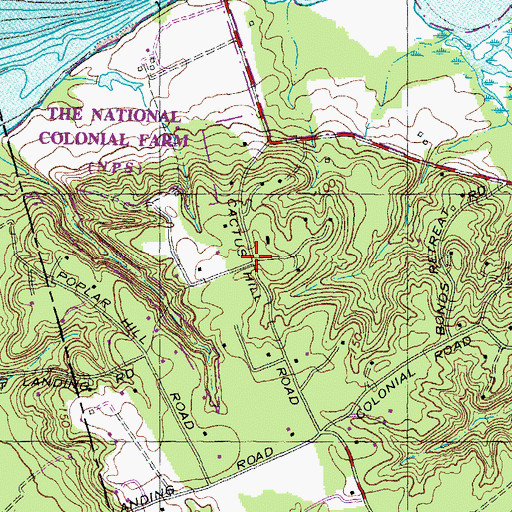 Topographic Map of Cactus Hill, MD