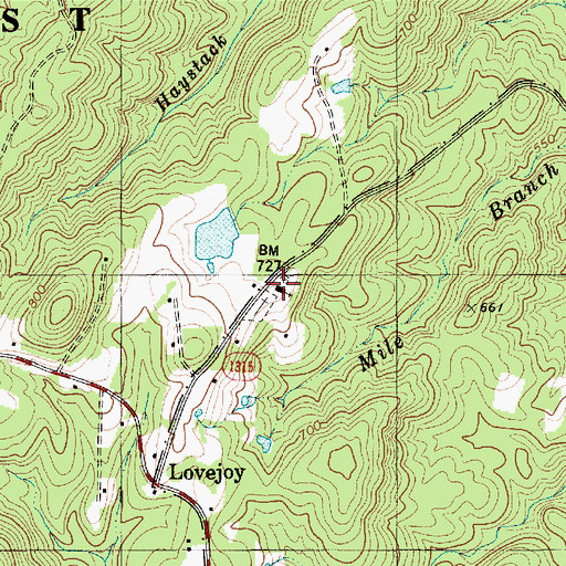 Topographic Map of Love Joy Methodist Church, NC