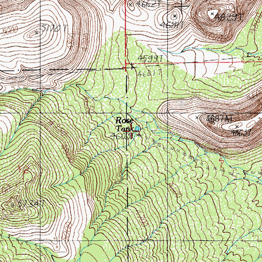 Topographic Map of Rose Tank, AZ