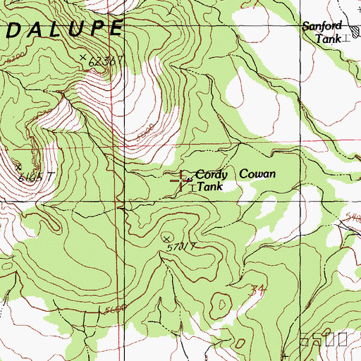 Topographic Map of Cordy Cowan Tank, NM