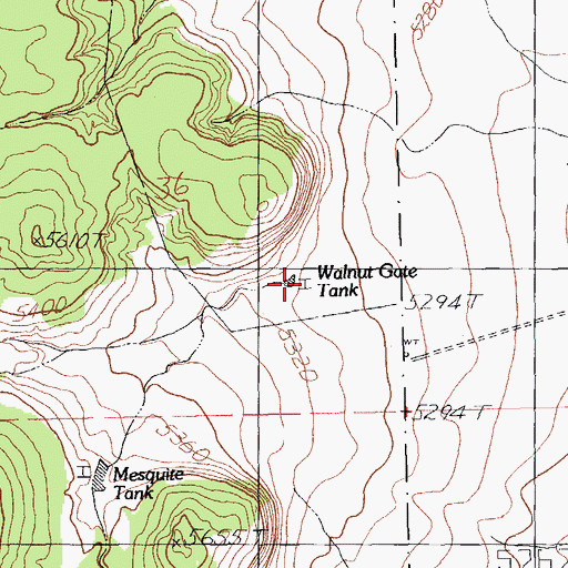 Topographic Map of Walnut Gate Tank, NM