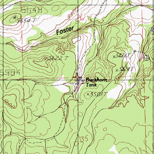 Topographic Map of Buckhorn Tank, NM